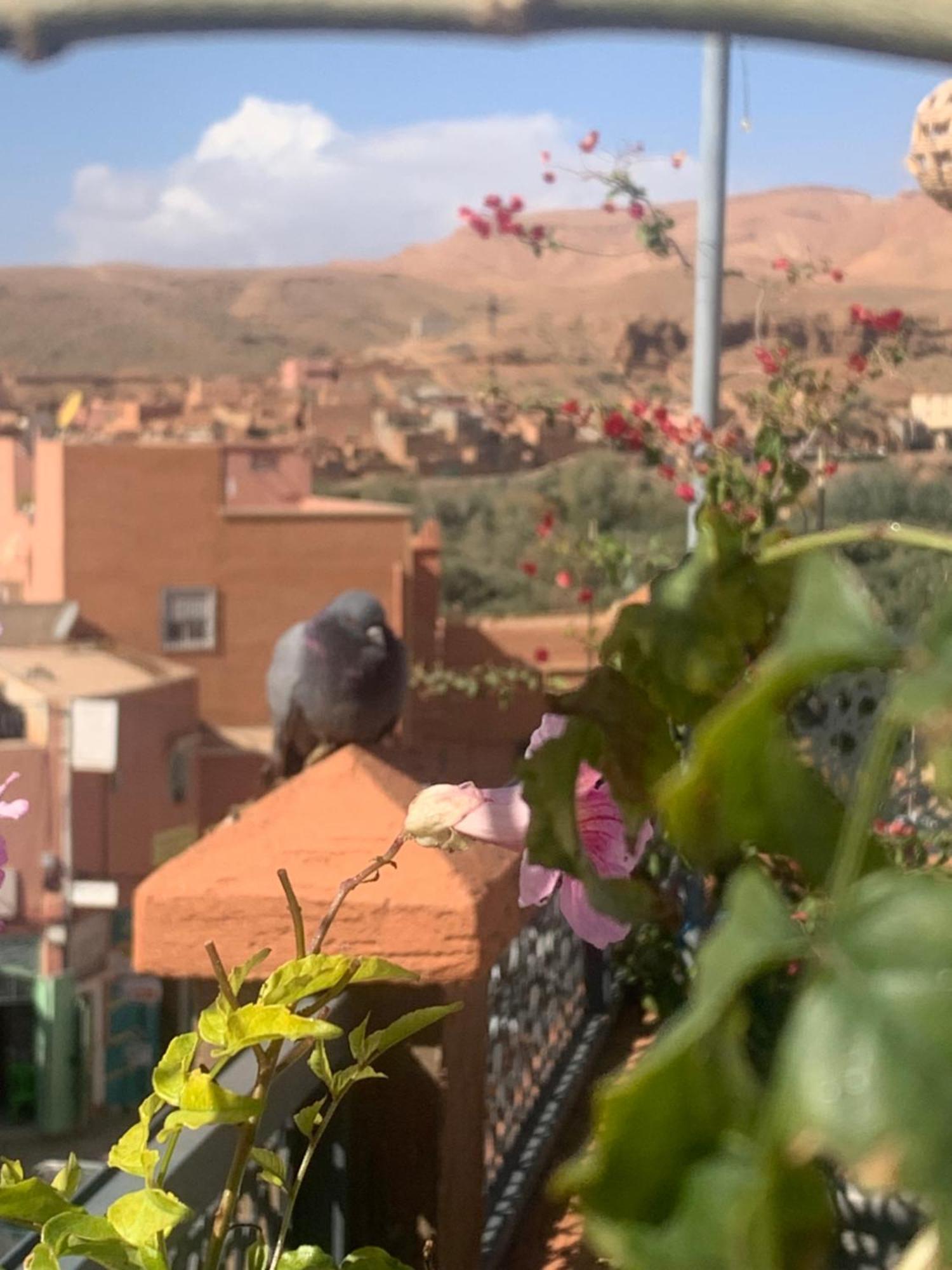 Hotel Riad Atlas Dades Boumalne Dades Exterior photo